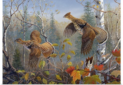 October Wings Grouse