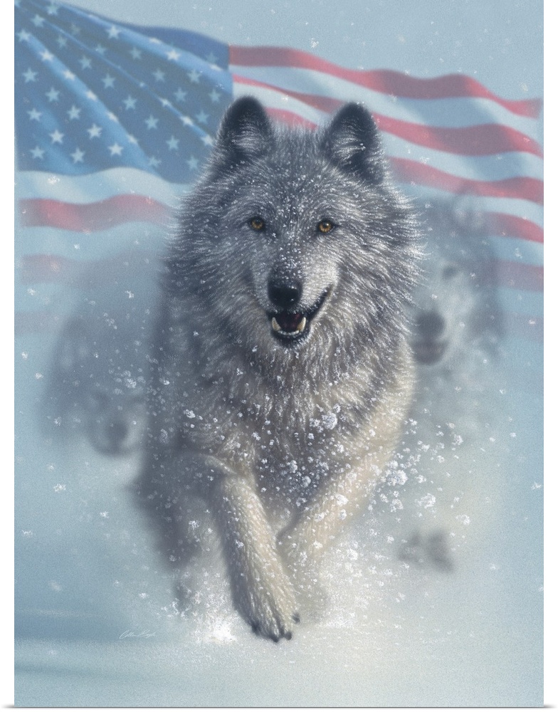 Running Wolves America