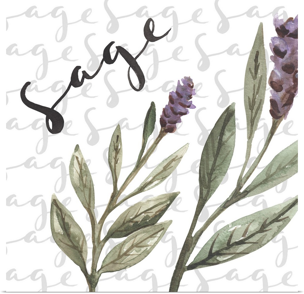 Sage Spice