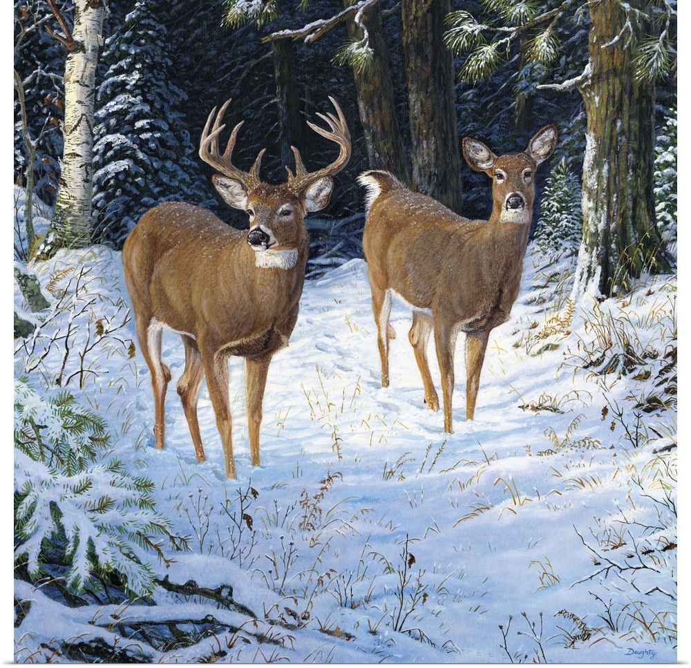 A pair of deer walking in a quiet forest in the snow.