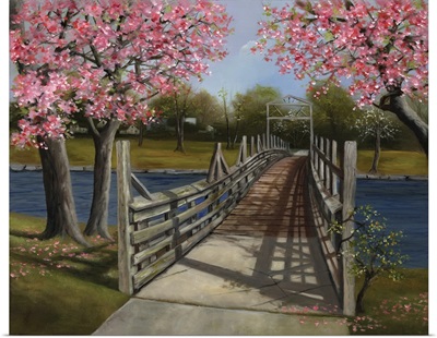 The Footbridge In Spring
