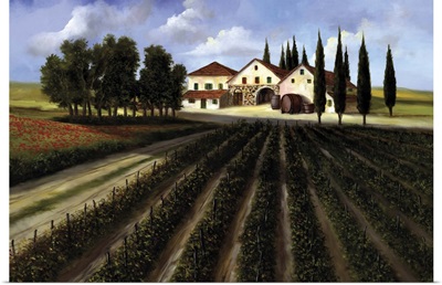 Vineyard 2015 - La Vendemmia