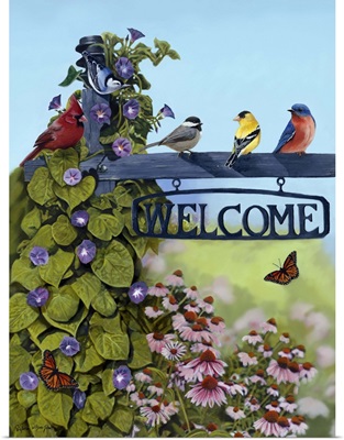 Welcome Birds