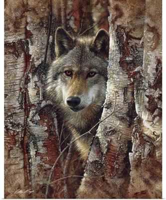 Wolf - Woodland Spirit