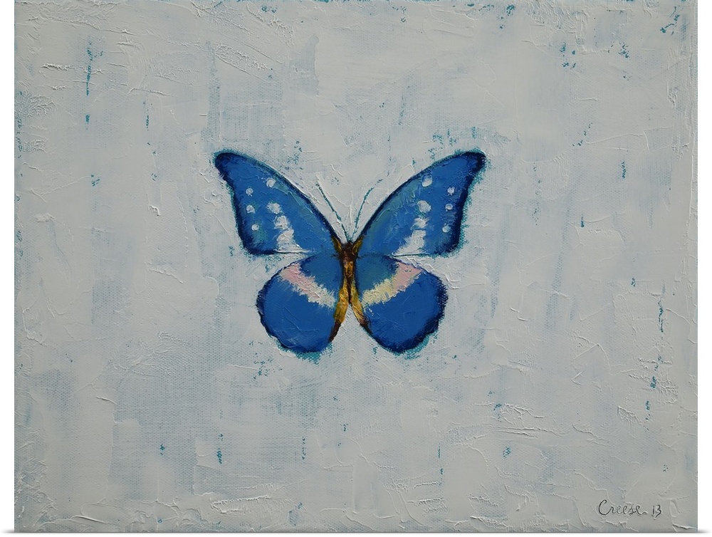 A contemporary painting of a blue and white butterfly against a white background.