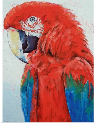 Crimson Macaw