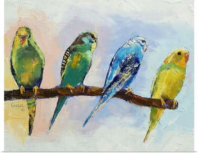 Four Parakeets
