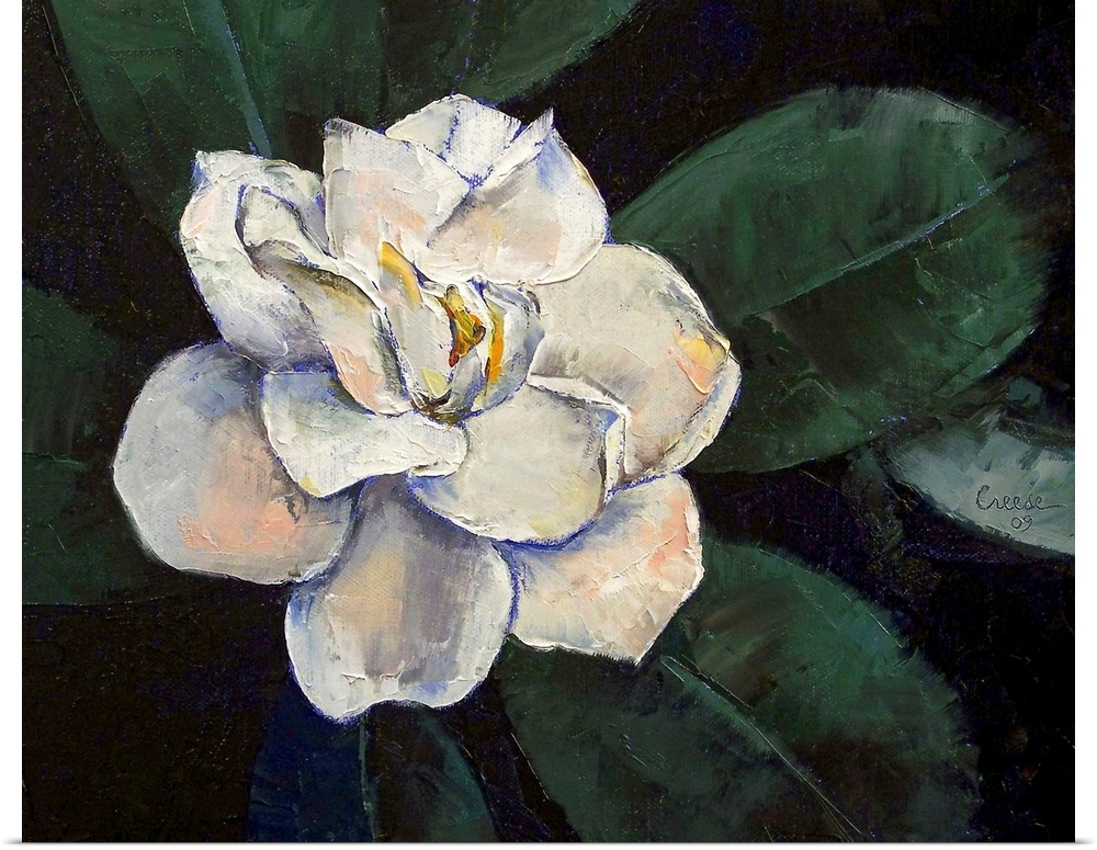 An oil painting of a large white flower with big green leaves that come out at the sides.