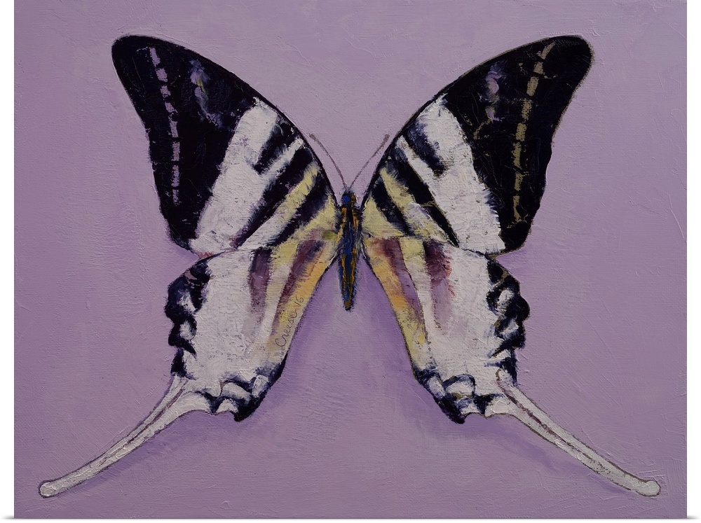 Giant Swordtail Butterfly