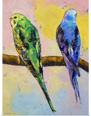 Green and Violet Budgies