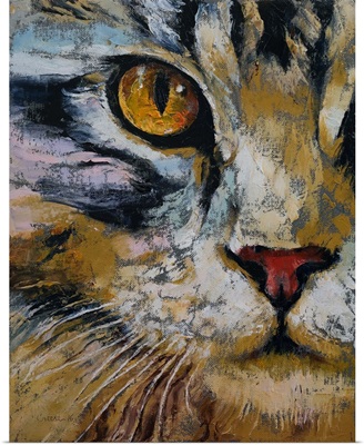 Maine Coon - Cat Portrait