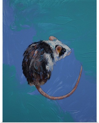 Mouse Study