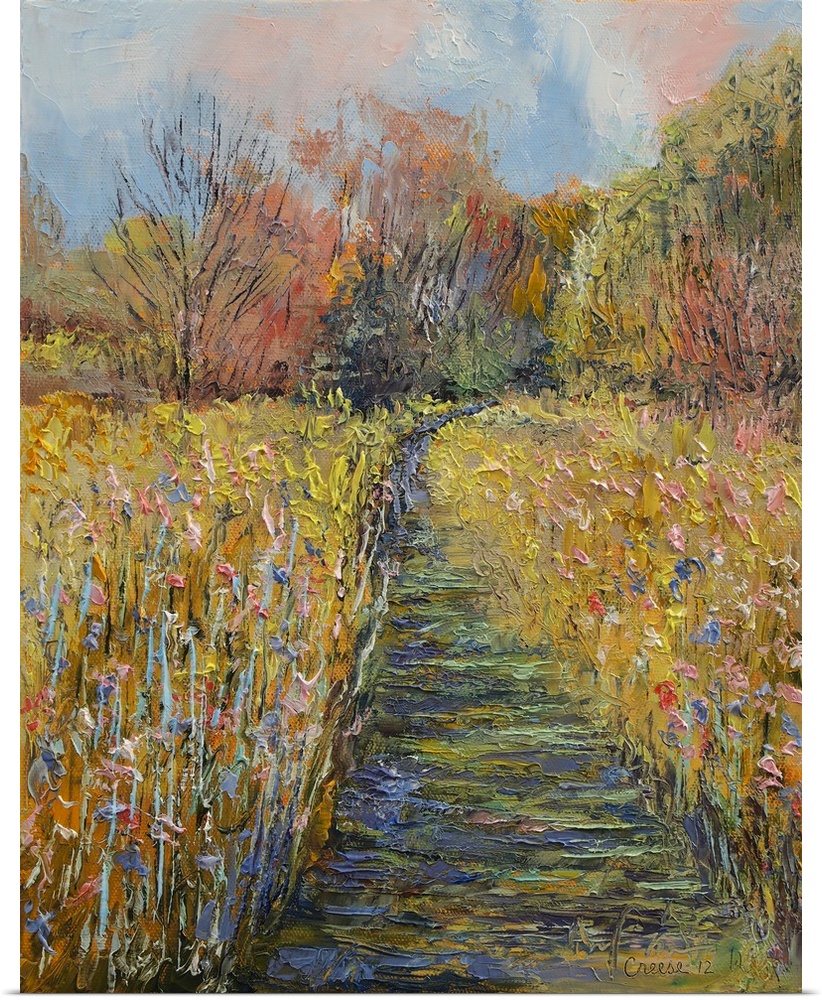 Path in the Meadow