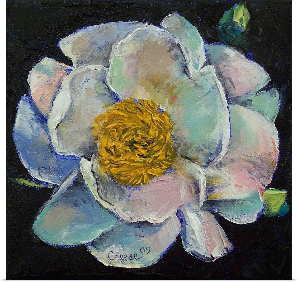 Square, oversized oil painting of a peony flower in bloom, on a black background.