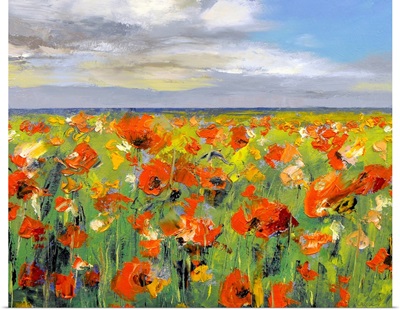 Poppy Field with Storm Clouds
