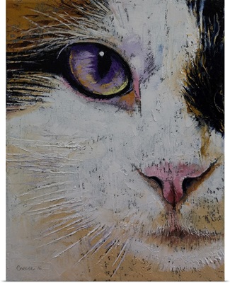 Ragdoll - Cat Portrait