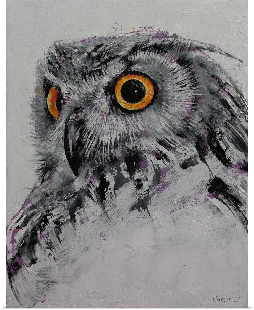 A portrait of a gray owl with glaring orange eyes.
