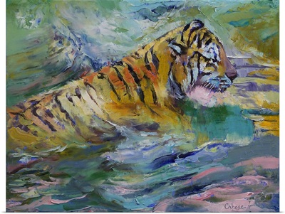 Tiger Reflections