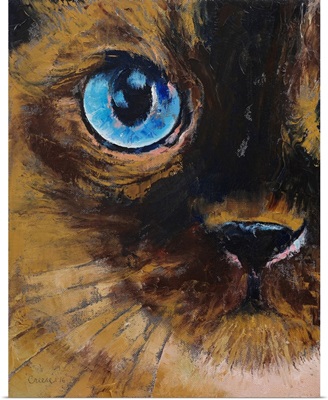 Tonkinese - Cat Portrait