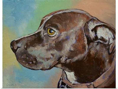Tyson - Dog Portrait