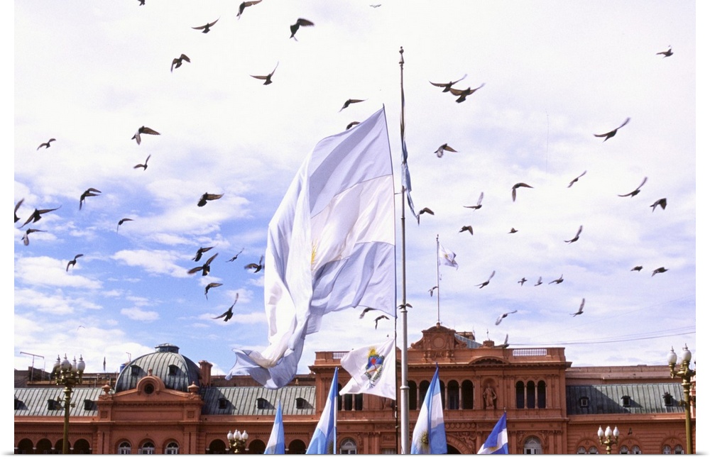 Buenos Aires, Argentina, birds fly above Casa Rosada presidential palace