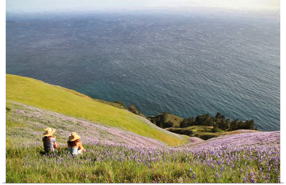 In the spring, the hills of Big Sur burst with the beautiful colors of lupine. Big Sur has been called the most spectacula...