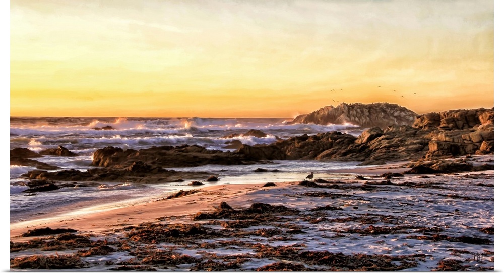 A beautiful vista of the Pebble Beach coastline along the 17 Mile Drive. Blending the realism of photography and the uniqu...