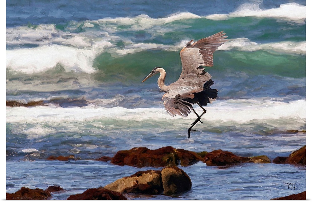 Walking along the ocean in Pebble Beach, one is often surrounded by wildlife, from pelicans gliding above the waves to mig...