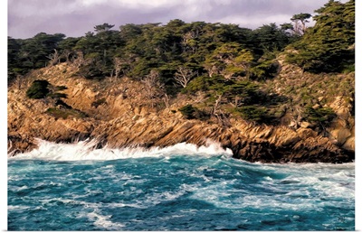 Point Lobos Vista