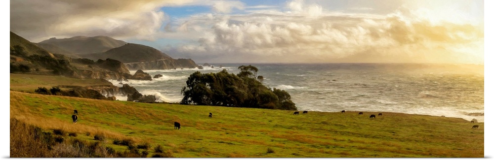 Cows graze at sunset in a field near Rocky Point in Big Sur. In the distance is the Rocky Creek Bridge, over which passes ...