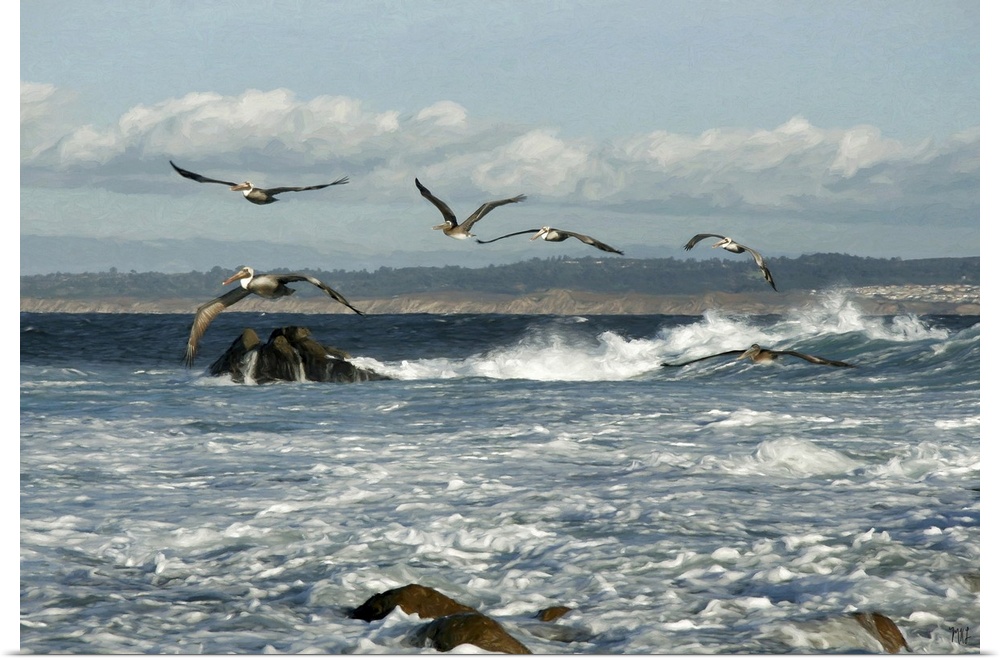 A squadron of pelicans make their way against the wind in Pacific Grove, California. Blending the realism of photography a...