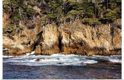 Wall Of Beauty Point Lobos
