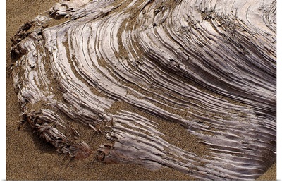 Hardened Lava Flow on Brown Sand
