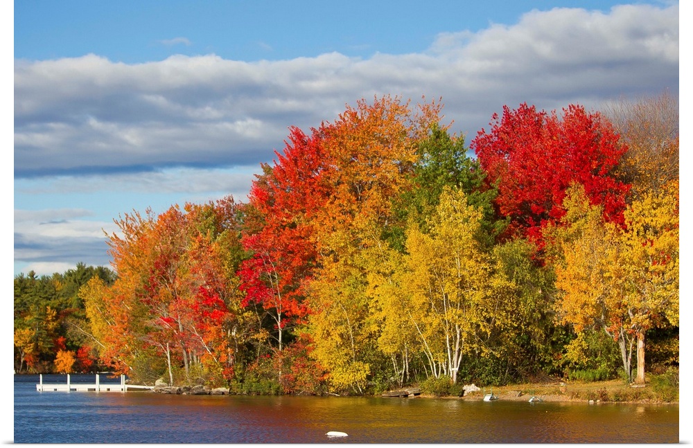 Brilliantly colored trees on a lake shore during autumn.
