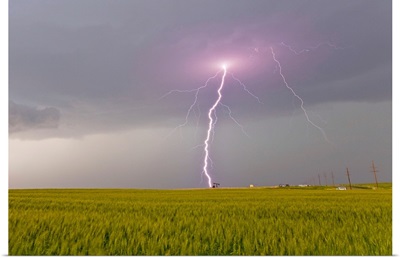 Lightning storm produces intense purple lightning bolt over a field