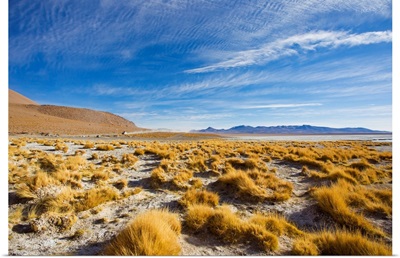 Rugged landscape in Bolivia's southwest altiplano