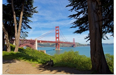 The Golden Gate Bridge viewed from a nearby park