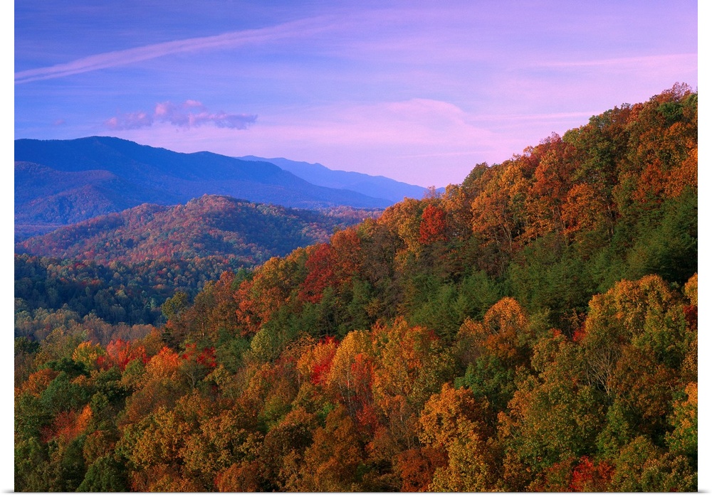 Autumn trees cover the mountain side under a colorful twilight sky in this landscape wall art for the home or office.