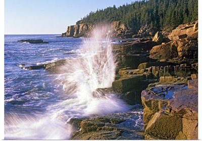 Atlantic Coast near Thunder Hole, Acadia National Park, Maine