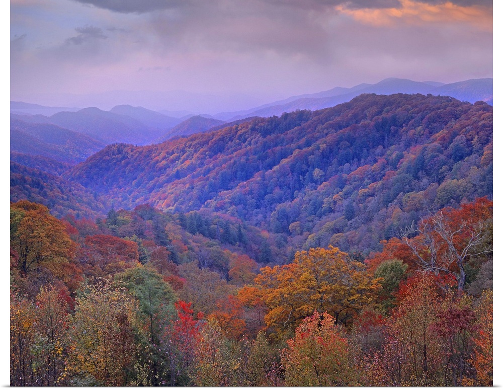 Photo on canvas of mountains covered in fall foliage.