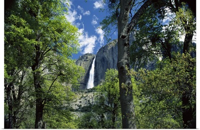 Bridal Veil Falls tumble 620 feet to the valley floor, Yosemite National Park