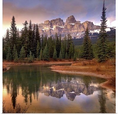 Castle Mountain and boreal forest reflected in lake, Banff National Park, Alberta