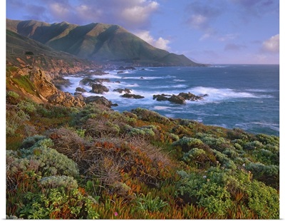 Cliffs and the Pacific Ocean, Garrapata State Beach, Big Sur, California