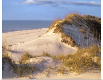 Coastal sand dunes, Saint Joseph Peninsula, Florida