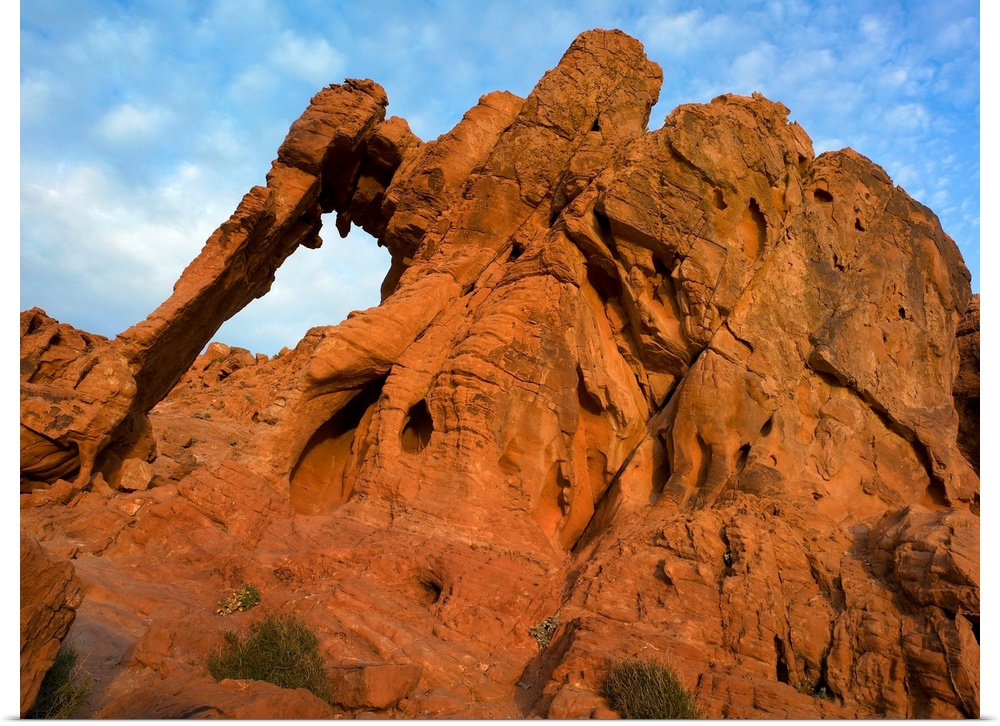 Elephant Rock, a unique sandstone formation, Valley of Fire State Park, Nevada