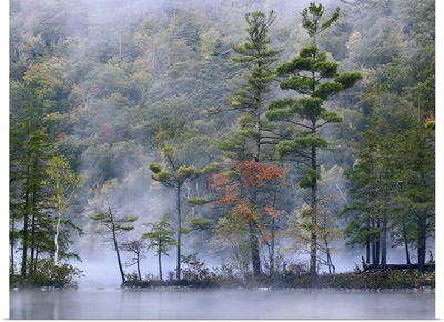 Emerald Lake in fog, Emerald Lake State Park, Vermont