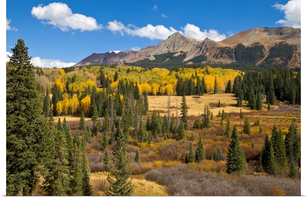 Fall Meadow Rocky Mountains Colorado