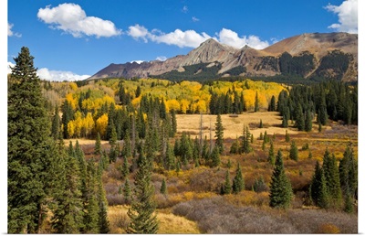 Fall Meadow Rocky Mountains Colorado