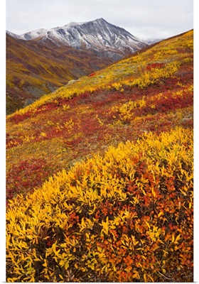 Fall Tundra and First Snow Brooks Range