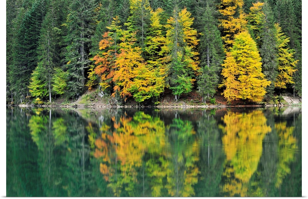 Forest reflected in lake in autumn, Haute Savoie, France.